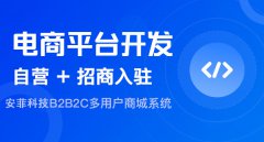 獨立的跨境電商平臺能賺錢嗎