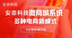 開(kāi)發(fā)微商城系統(tǒng)有哪些方案